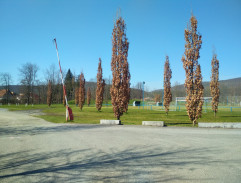 Po neúspěšném únosu