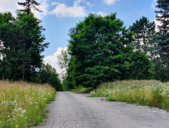 Mojžíš jede za únosci