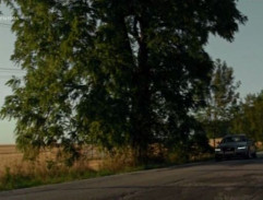 cestou do sanatória