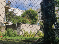 dvor bytovky v Martine