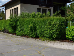 pred materskou školou 2