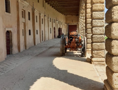 Manželka pro kněze