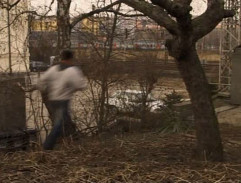 Kdyby všichni chlapi světa