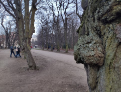 Ministr vnitra Janda v parku