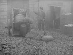 Zadní vchod do paláce