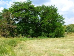 Postup sovětských vojsk