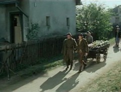 dom Boženy Horákovej