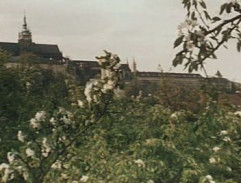 Pohled na Pražský hrad