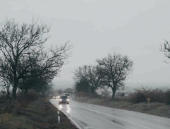 Direktorka vezie Broňu a Naďu