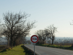 Direktorka vezie Broňu a Naďu