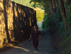 Léčitelka Mülbacherová