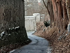 Léčitelka Mülbacherová