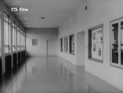 Školní chodba 1