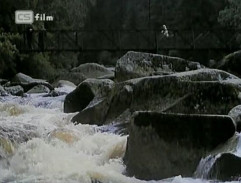 Můj přítel d’Artagnan