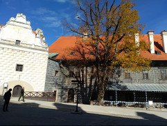 Představy Mildy alias D'Artagnana 5