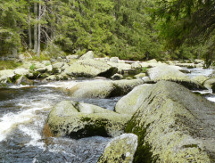 Můj přítel d’Artagnan