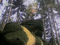 Můj přítel d’Artagnan