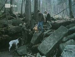 Můj přítel d’Artagnan