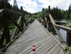 Cesta hlubokým lesem