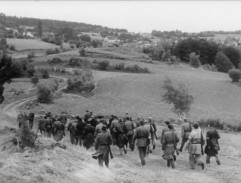 Cesta hlubokým lesem