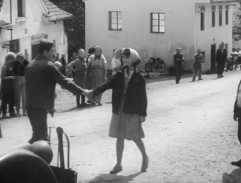 Cesta hlubokým lesem