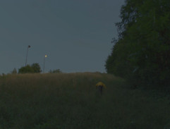 Davidův útěk z lesa