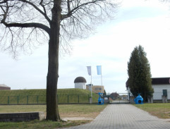 Propuštění z vazby