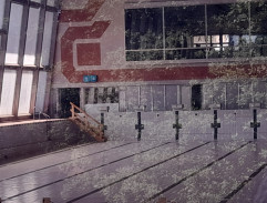 Prověřování Davida Frýdla