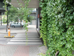 David žádá o pomoc