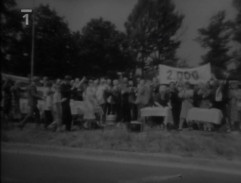 Oslava zlaté svatby