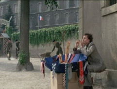 Bažanti jdou do boje