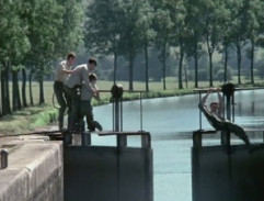 Bažanti jdou do boje