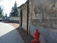 Bažanti jdou do boje