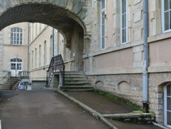 Bažanti jdou do boje