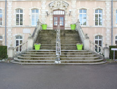 Bažanti jdou do boje