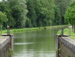 Bažanti jdou do boje