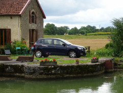 Bažanti jdou do boje