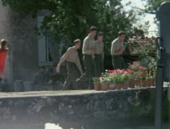 Bažanti jdou do boje