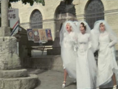 Bažanti jdou do boje