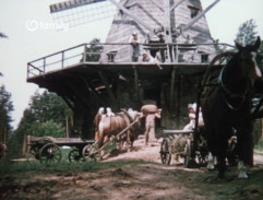 Heroldi u větrného mlýna