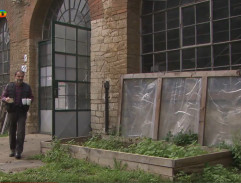 226. Tajná královna Karolina