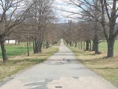 U kaple Matky Boží