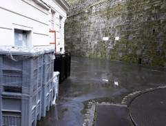 Ochranka odváží okradenou Tingting