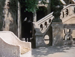 na terase grófky Thunovej