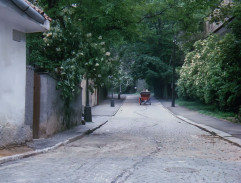 Adéla ještě nevečeřela