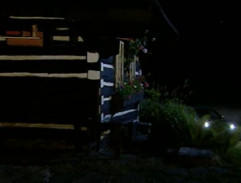 Každý den karneval