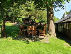 Každý den karneval