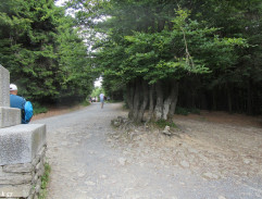 Každý den karneval