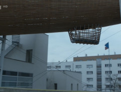 Před předvolební debatou