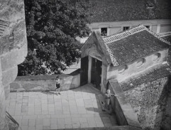 Ztratila se Bílá paní